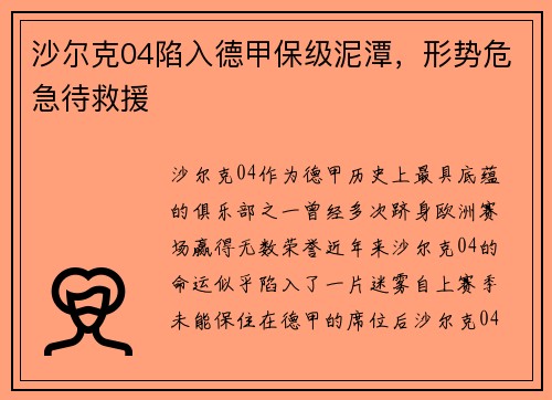沙尔克04陷入德甲保级泥潭，形势危急待救援